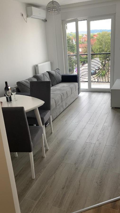 Banja Koviljača Apartman Katarina מראה חיצוני תמונה